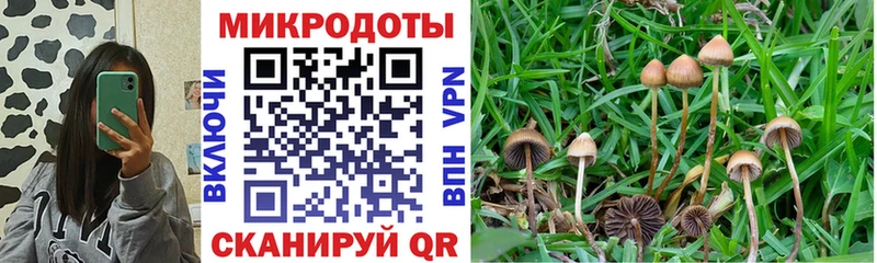 Галлюциногенные грибы ЛСД Спасск